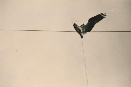 Besuch-auf-der-Antenne