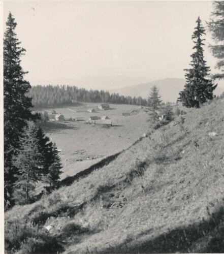 Aflenzer Bürgeralm