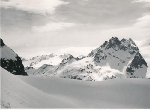 Eckhoerner Schattenspitze Bieltalferner Tirolerkopf