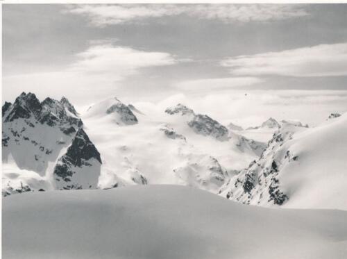 PitzFliana Gletscherkamm Schneeglocke Rotfluh