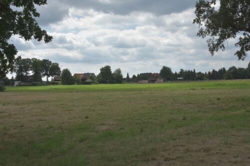 Lüneburger Heide