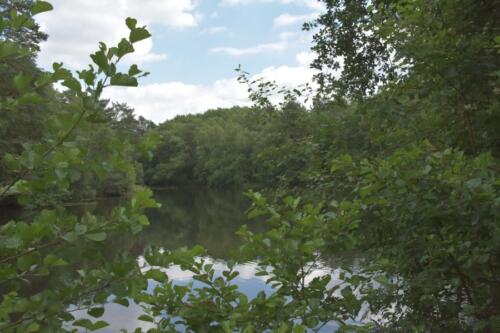 Lüneburger Heide