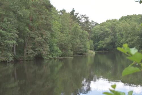 Lüneburger Heide