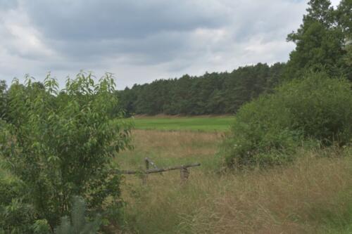 Lüneburger Heide