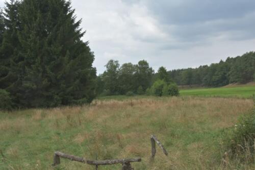 Lüneburger Heide