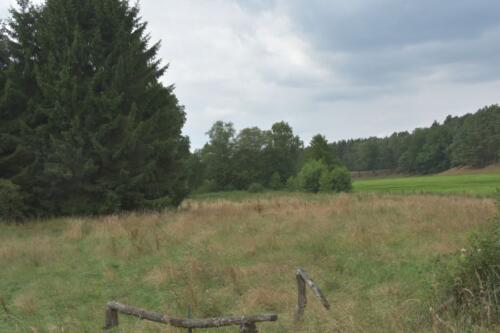 Lüneburger Heide