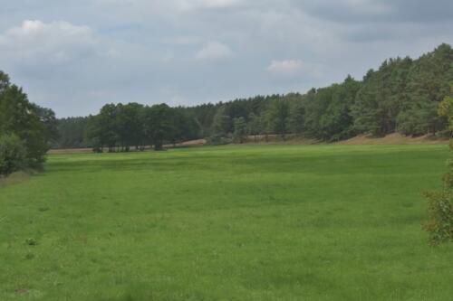 Lüneburger Heide
