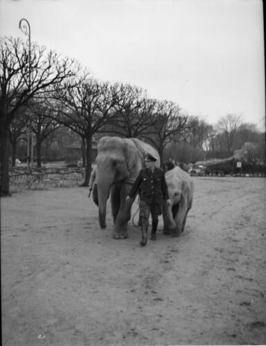 Hamburg Stellingen (Tierpark Hagenbeck)
