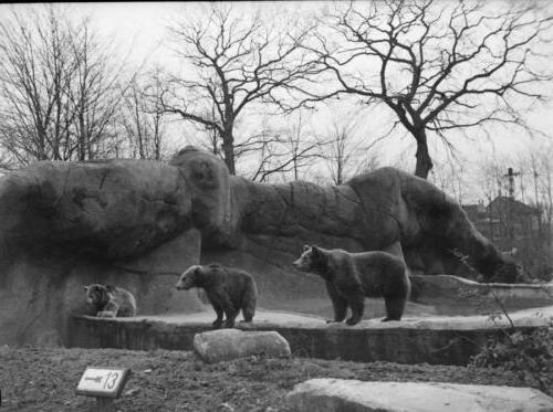 Hamburg Stellingen (Tierpark Hagenbeck)
