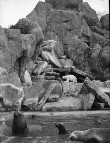 Hamburg Stellingen (Tierpark Hagenbeck)