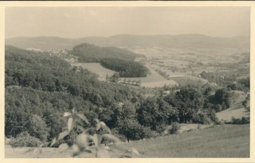 Südpfalz