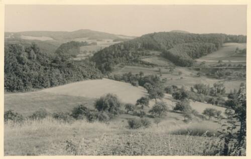 Südpfalz