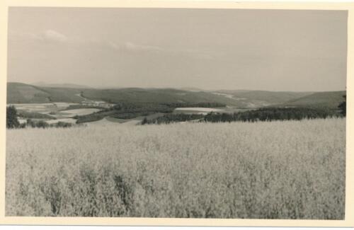 Südpfalz