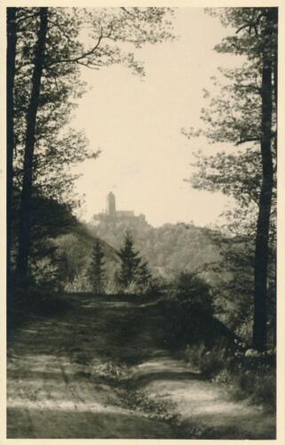 Südpfalz