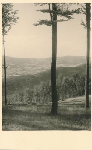 Südpfalz