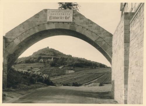 Südpfalz