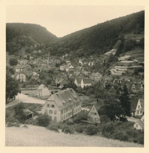 Südpfalz