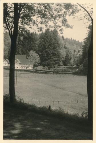 Südpfalz