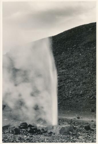 Geysir von Hveragerði