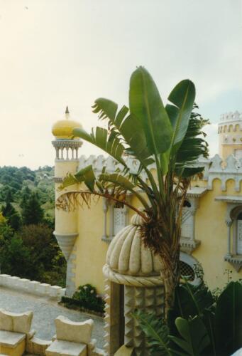 Palácio Nacional da Pena - Sintra