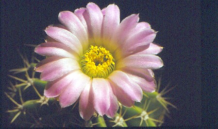 IMG 20220416 0001
