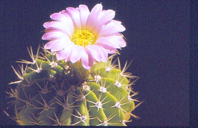 IMG 20220416 0002