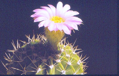 IMG 20220416 0003