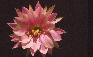 IMG 20220416 0005