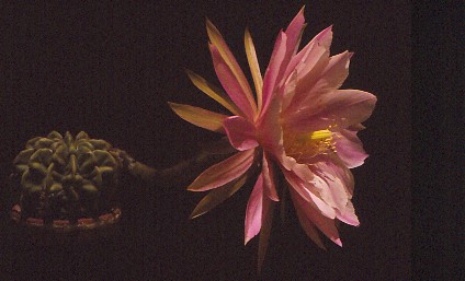 IMG 20220416 0007