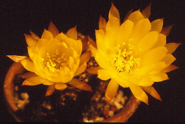 IMG 20220416 0008