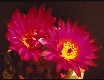 IMG 20220416 0014