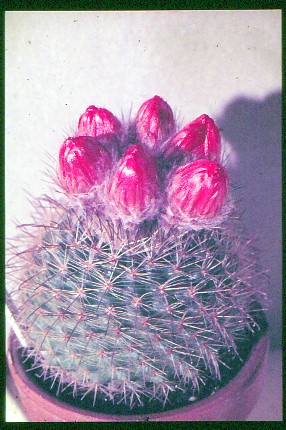 IMG 20220416 002