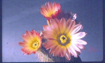 IMG 20220416 003