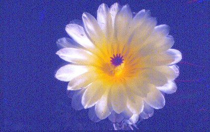 IMG 20220416 004
